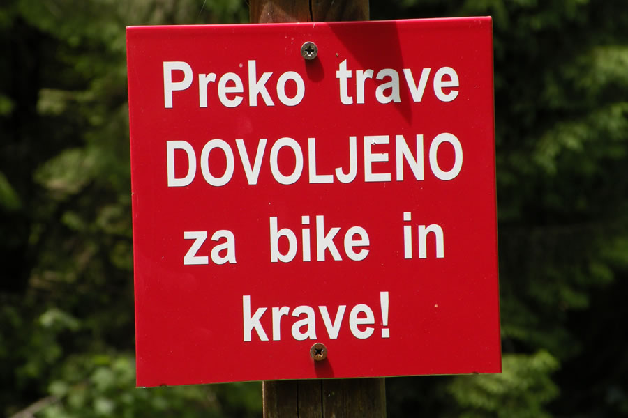 Ob poti