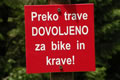 Ob poti