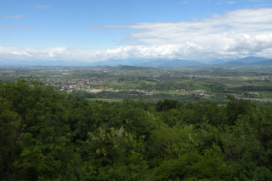 Razgled z Debele griže