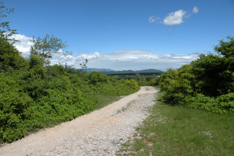 Proti Doberdobu