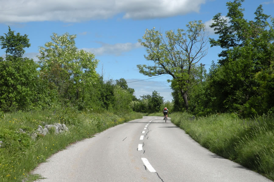 Proti Brestovici pri Komnu