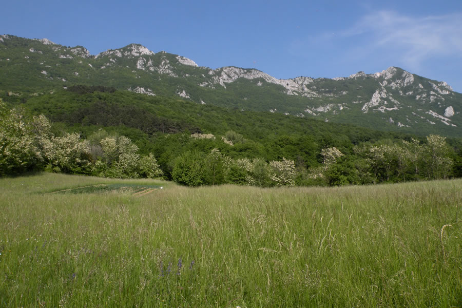 Skalni rob nad Vipavsko dolino