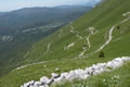 Cesta Breginj - Kobariški Stol