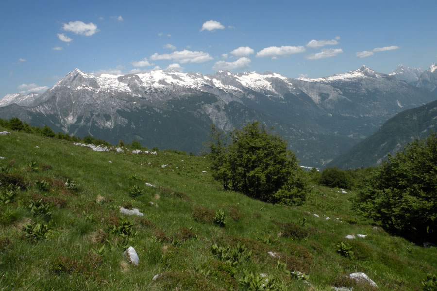 Kaninsko pogorje