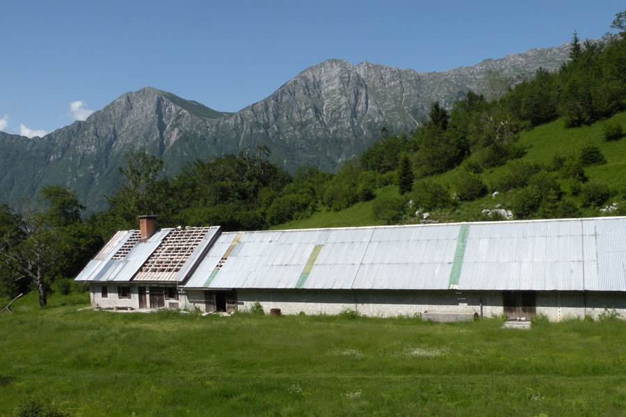 Planina Hlevišče, Polovnik - Pirhovec in Veliki vrh