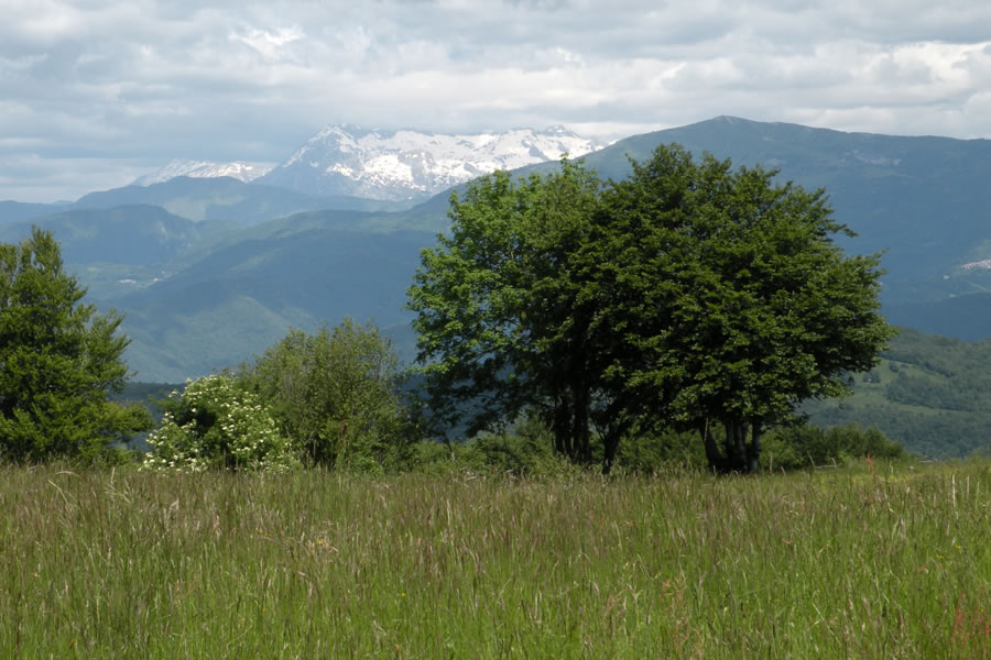Kaninsko pogorje, Matajur
