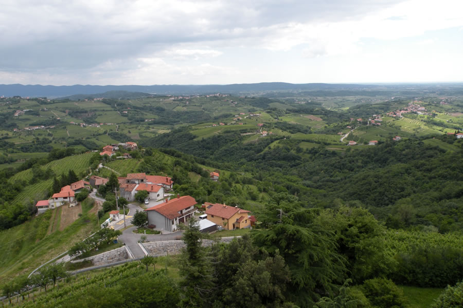 Goriška Brda
