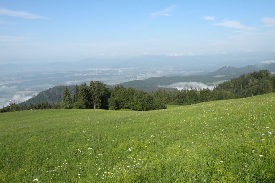Dolina