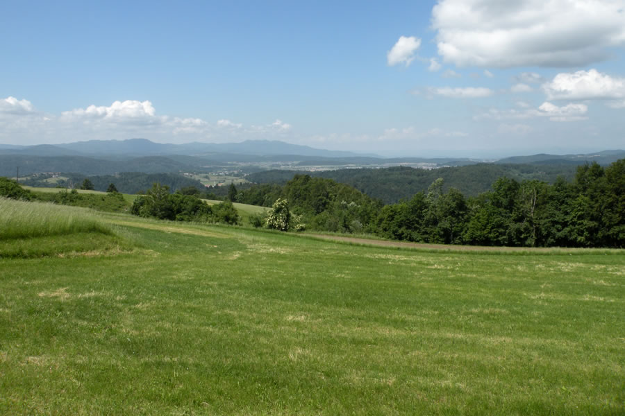 Mokrec, Krim