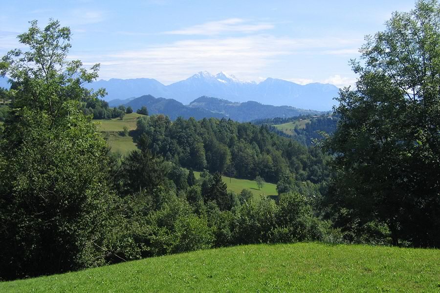 Grintovci