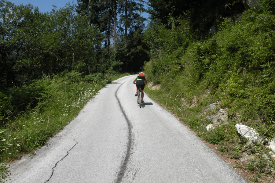 Strm vzpon proti Davči
