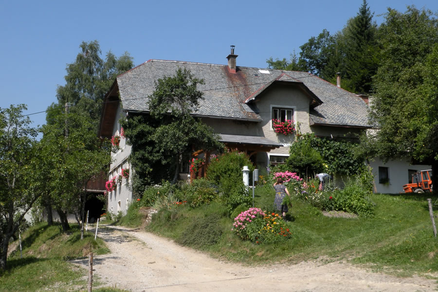 Davča