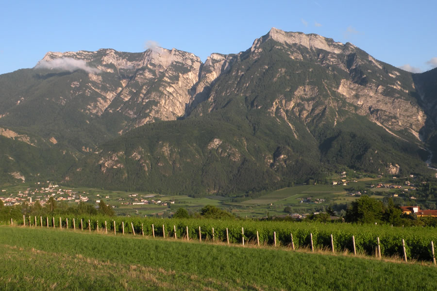 Cima Manderiolo, Cima di Vezzana