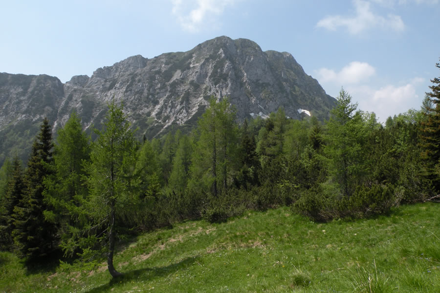 Lipnik (M. Schenone)
