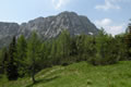 Lipnik (M. Schenone)