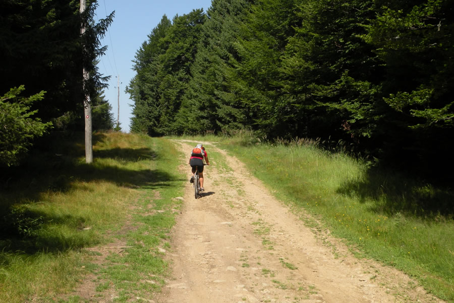Proti Ruški koči