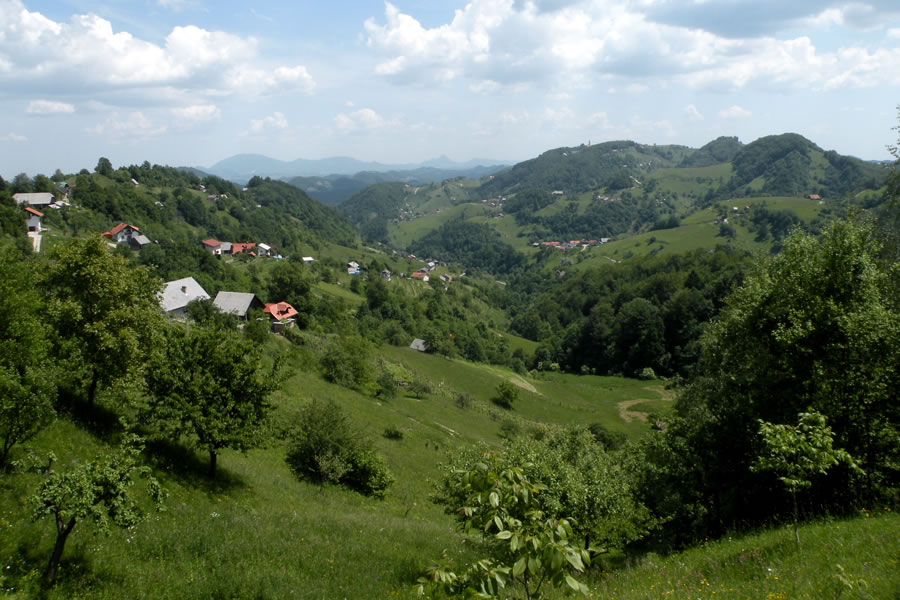 Kalobje s Šentruperta