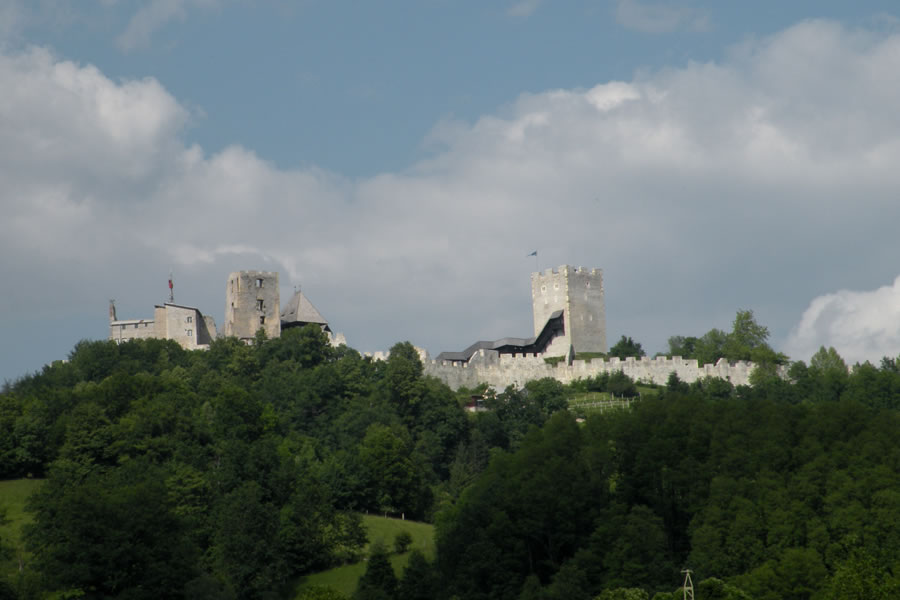 Celjski grad