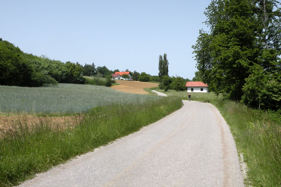 Čez Slovenske gorice