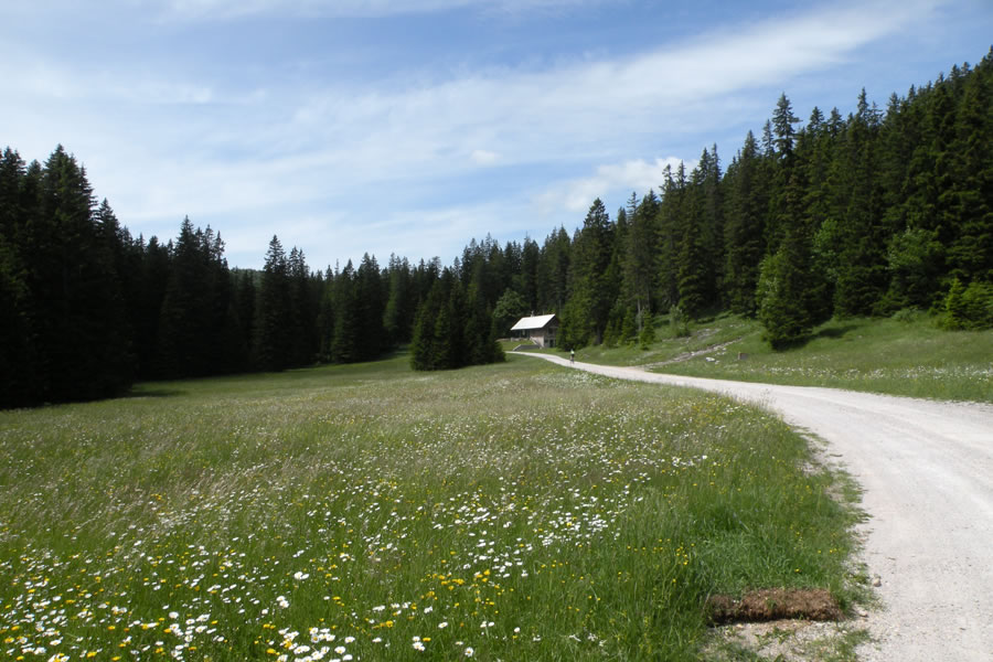 Lovska koča pod Sviščaki