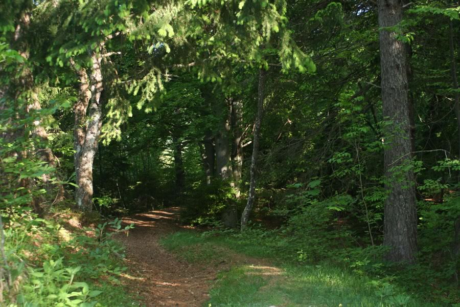 Prijetna grebenska pot proti Sankaškemu domu