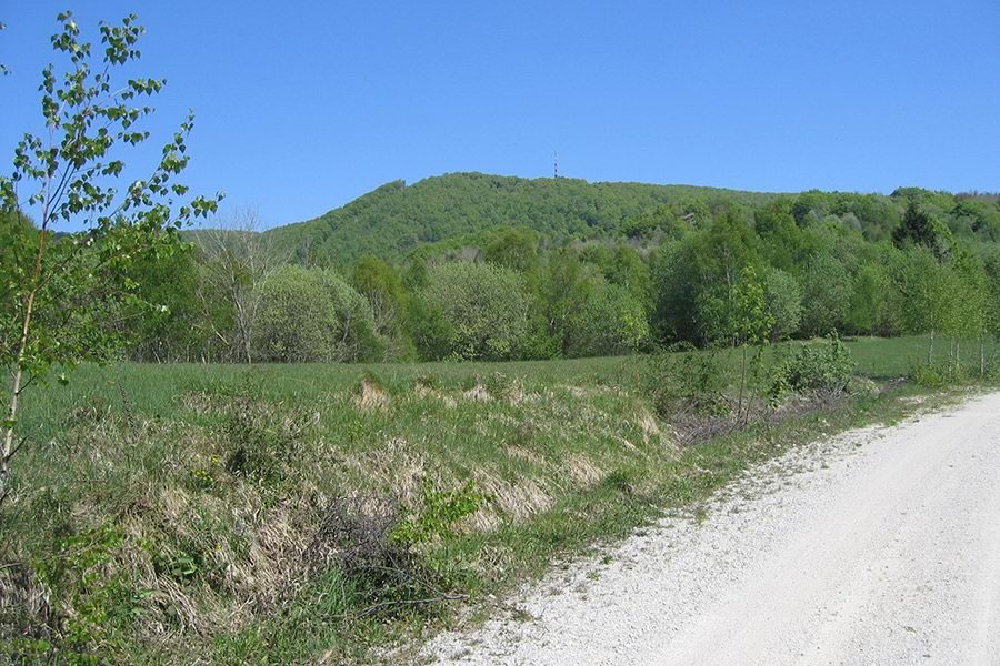Trdinov vrh