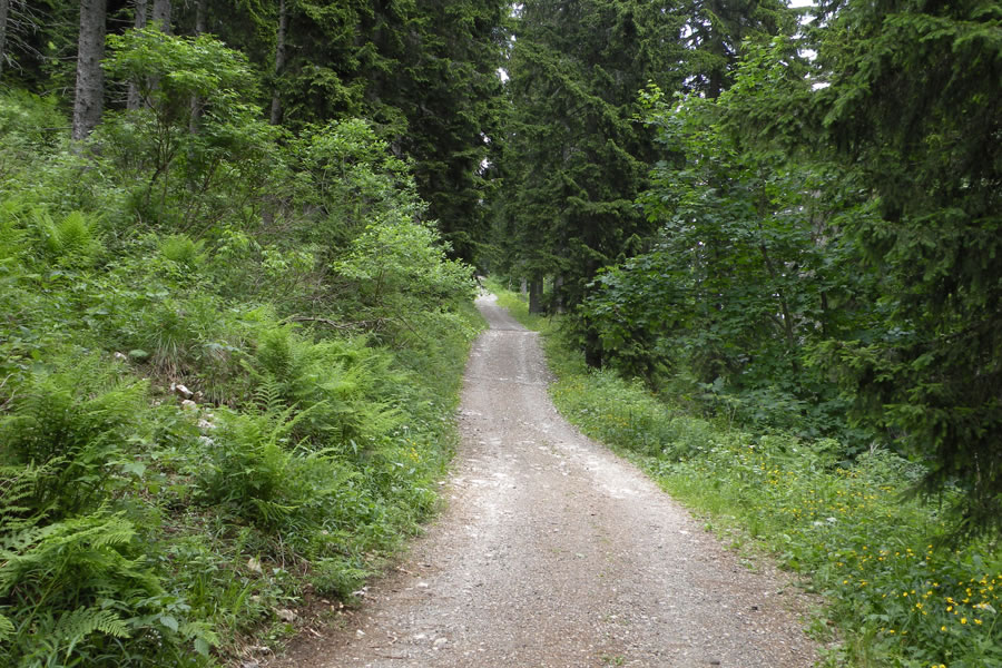 Spust proti Poštarskemu domu