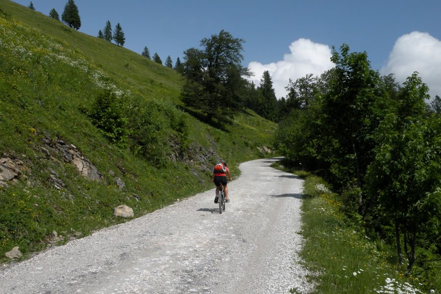 Nad Kranjskim rakom