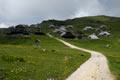 Velika planina
