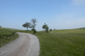 Travnat greben Vremščice