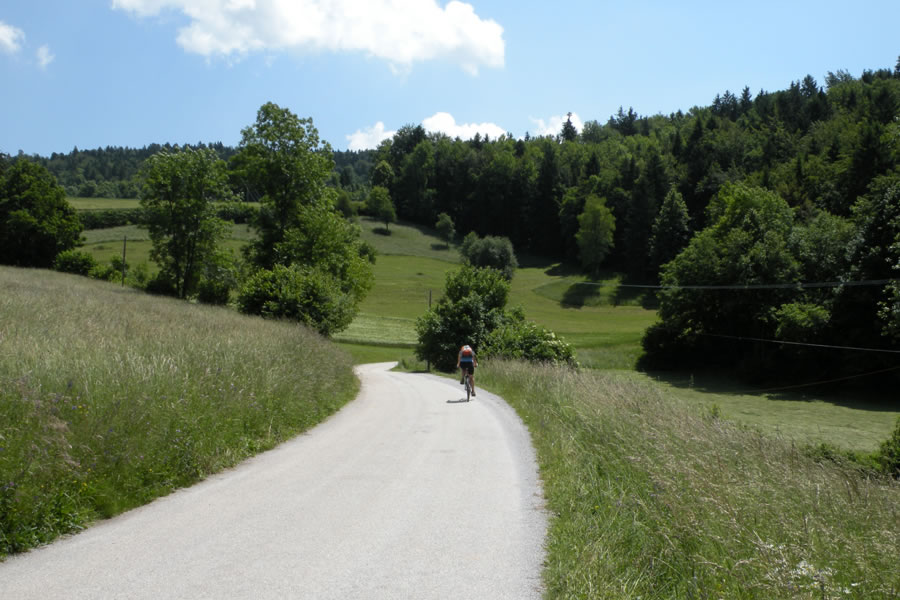 Proti Zasavski Sveti gori