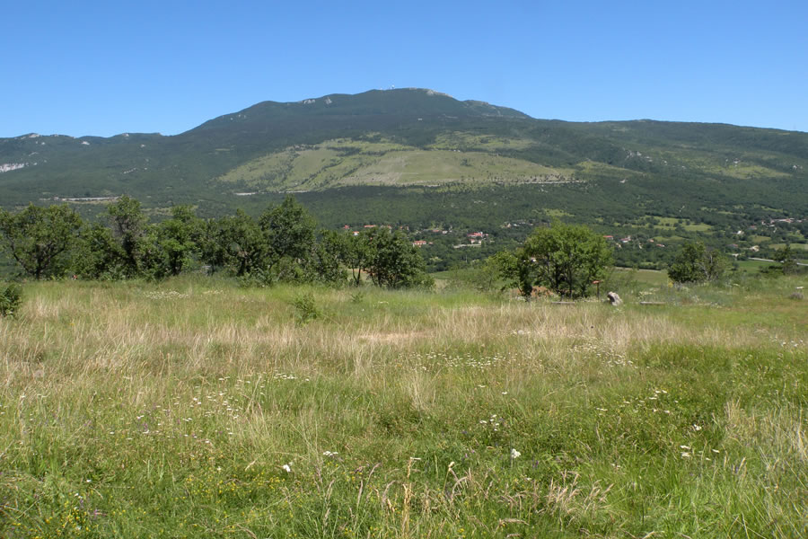 Učka