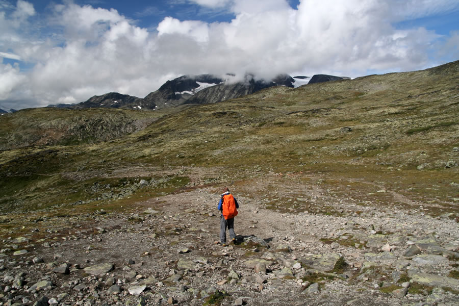 Sestop, Surtningssue