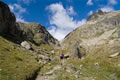 Vzpon