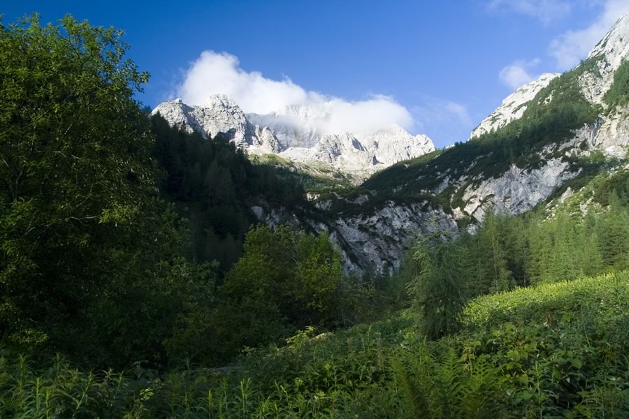 Bavški Grintavec
