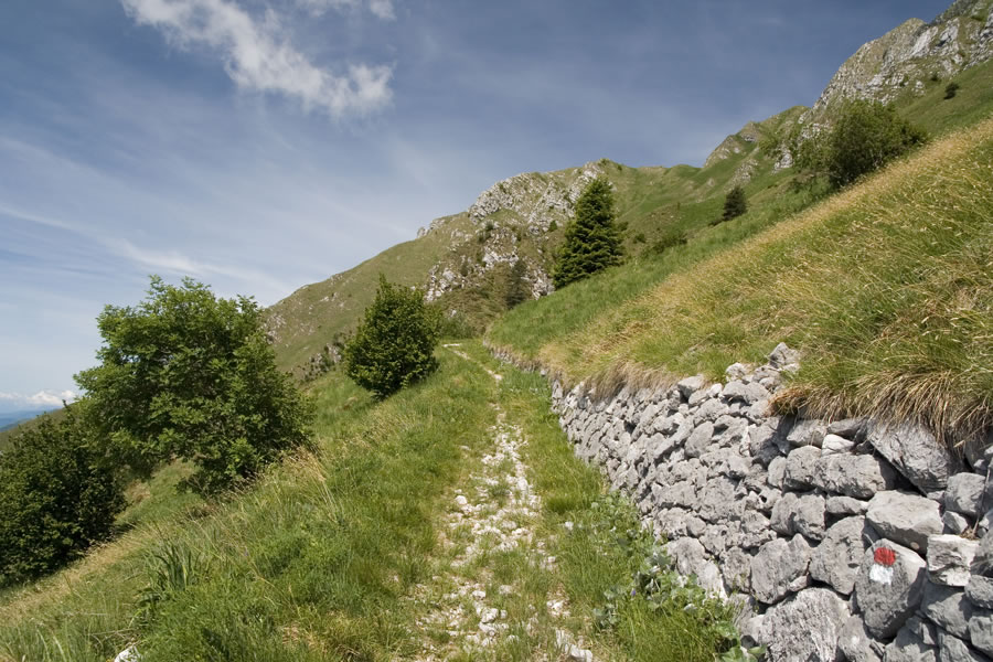 Udobna mulatjera
