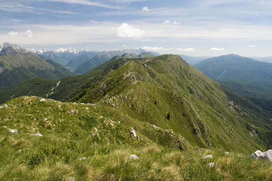 Vzhodni del Stolovega grebena