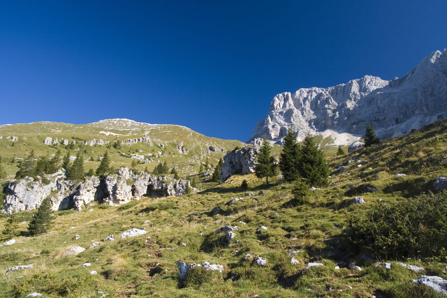 Curtissons in Montaž