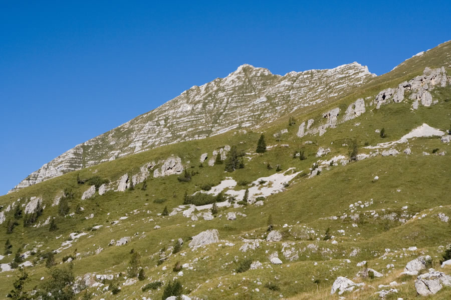 Zabuš