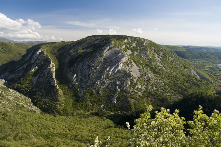 Veliki vrh