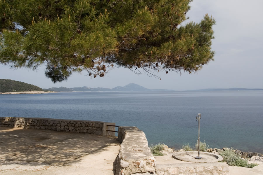 Osoršćica iz Velega Lošinja