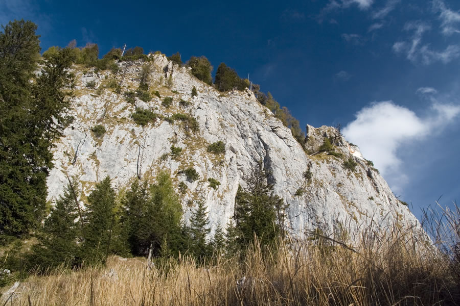 Štegovnik