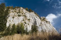 Štegovnik