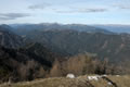 Latschur Gruppe