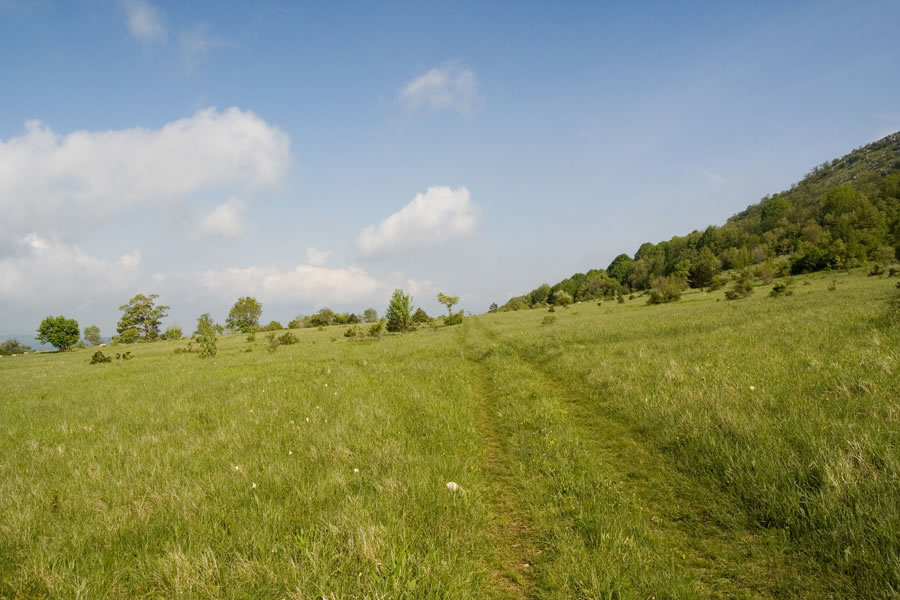 Travniki pod Lipnikom
