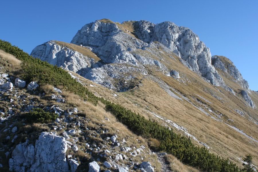 Kladivo