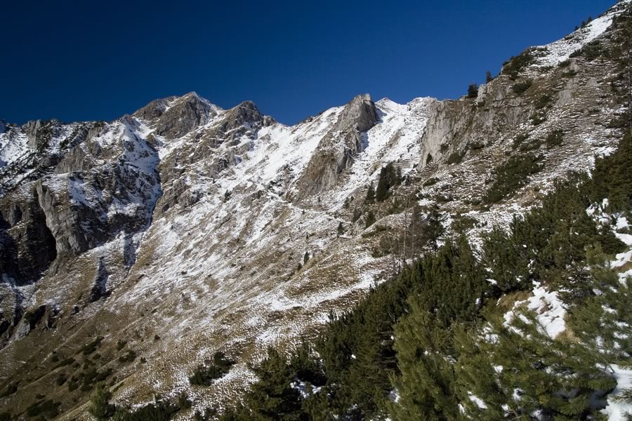 Lipnik