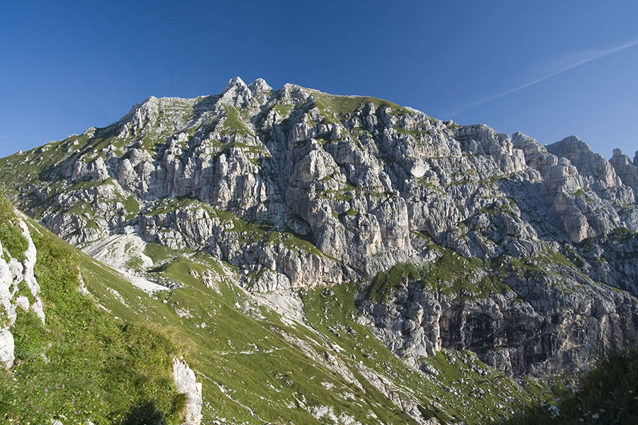 Koštrunove špice