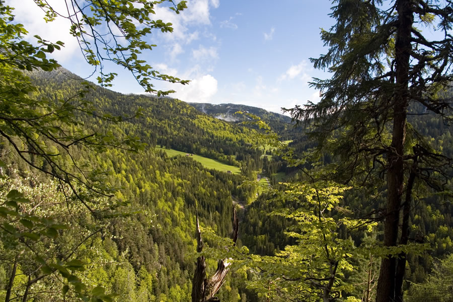 Vrtinjlogarski graben (Val Bartolo)
