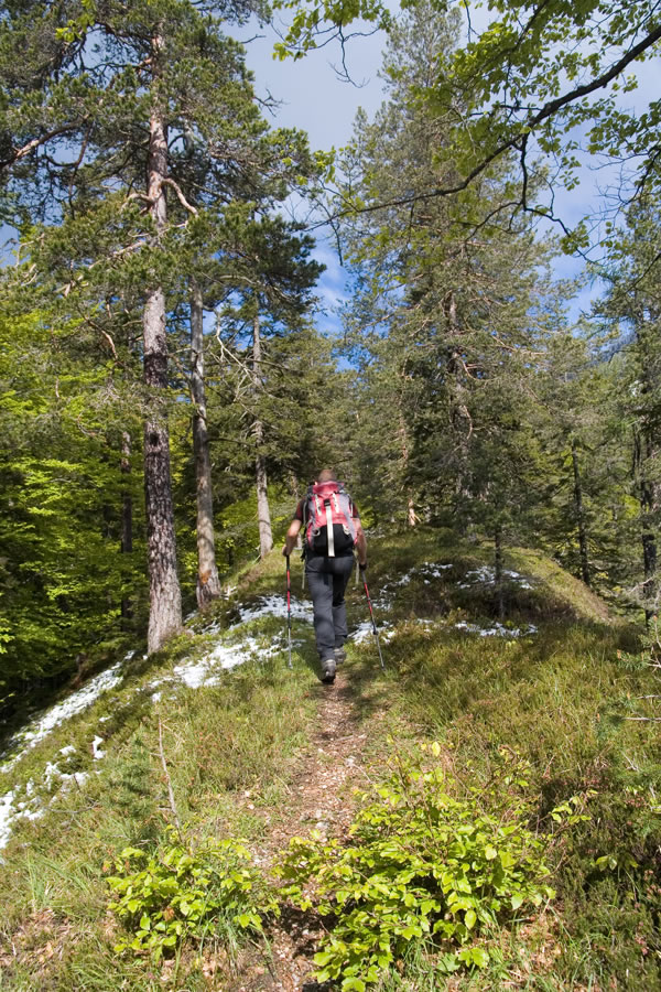 Proti Mulejevemu vrhu (Cima Muli)